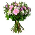 Freesia a Alstro